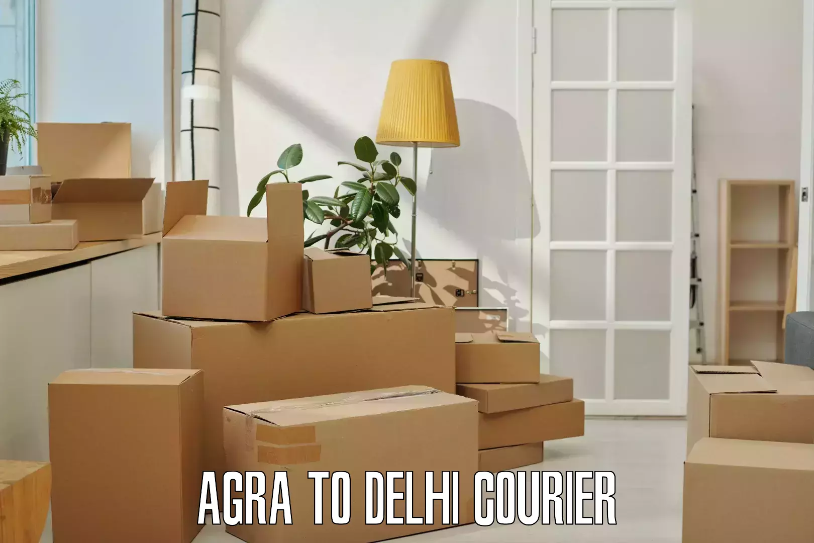 Return courier service Agra to Sansad Marg