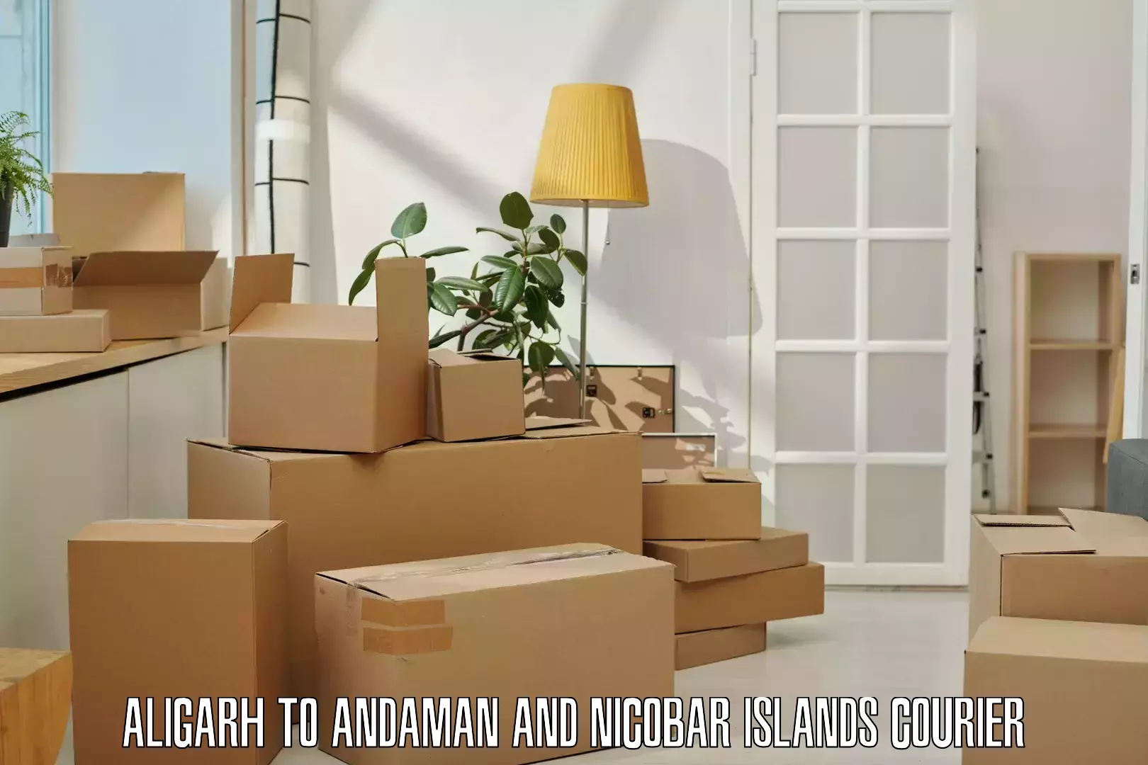 Parcel handling and care Aligarh to Andaman and Nicobar Islands