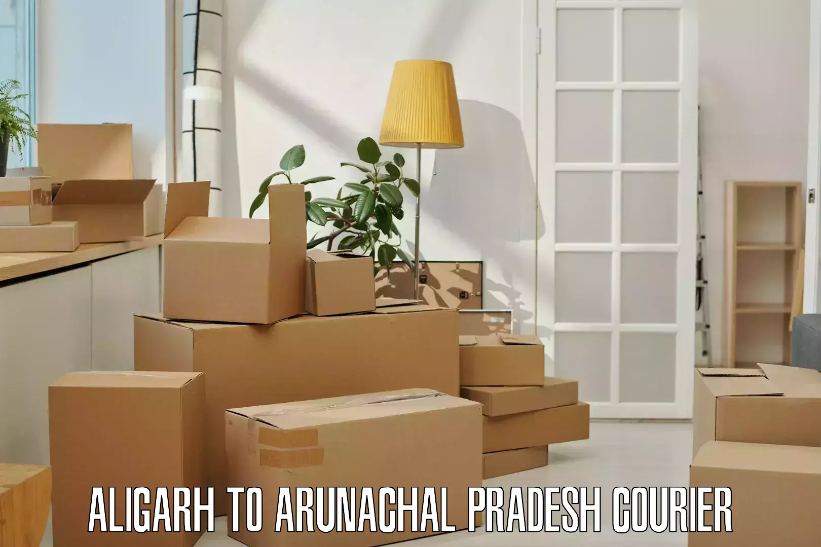 Express courier capabilities in Aligarh to Papum Pare