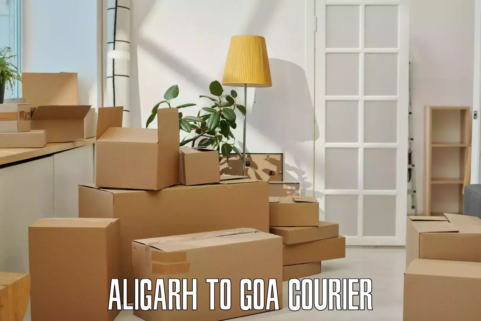24-hour courier service Aligarh to Ponda