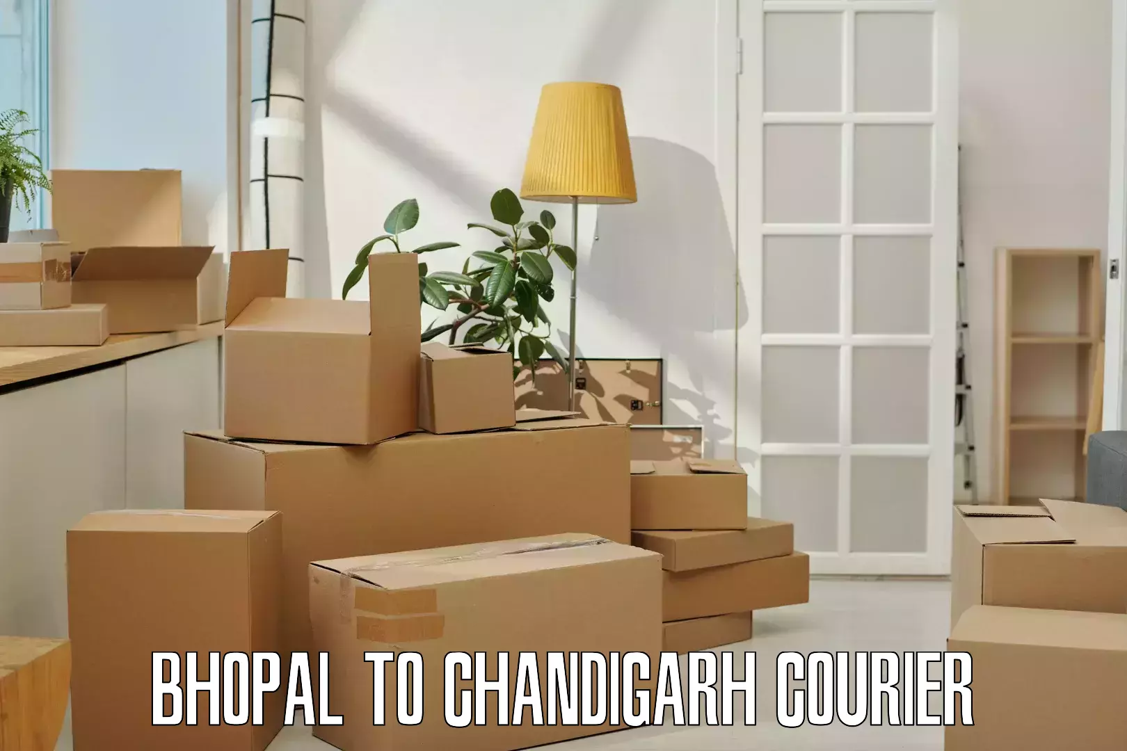 Business courier solutions Bhopal to Chandigarh