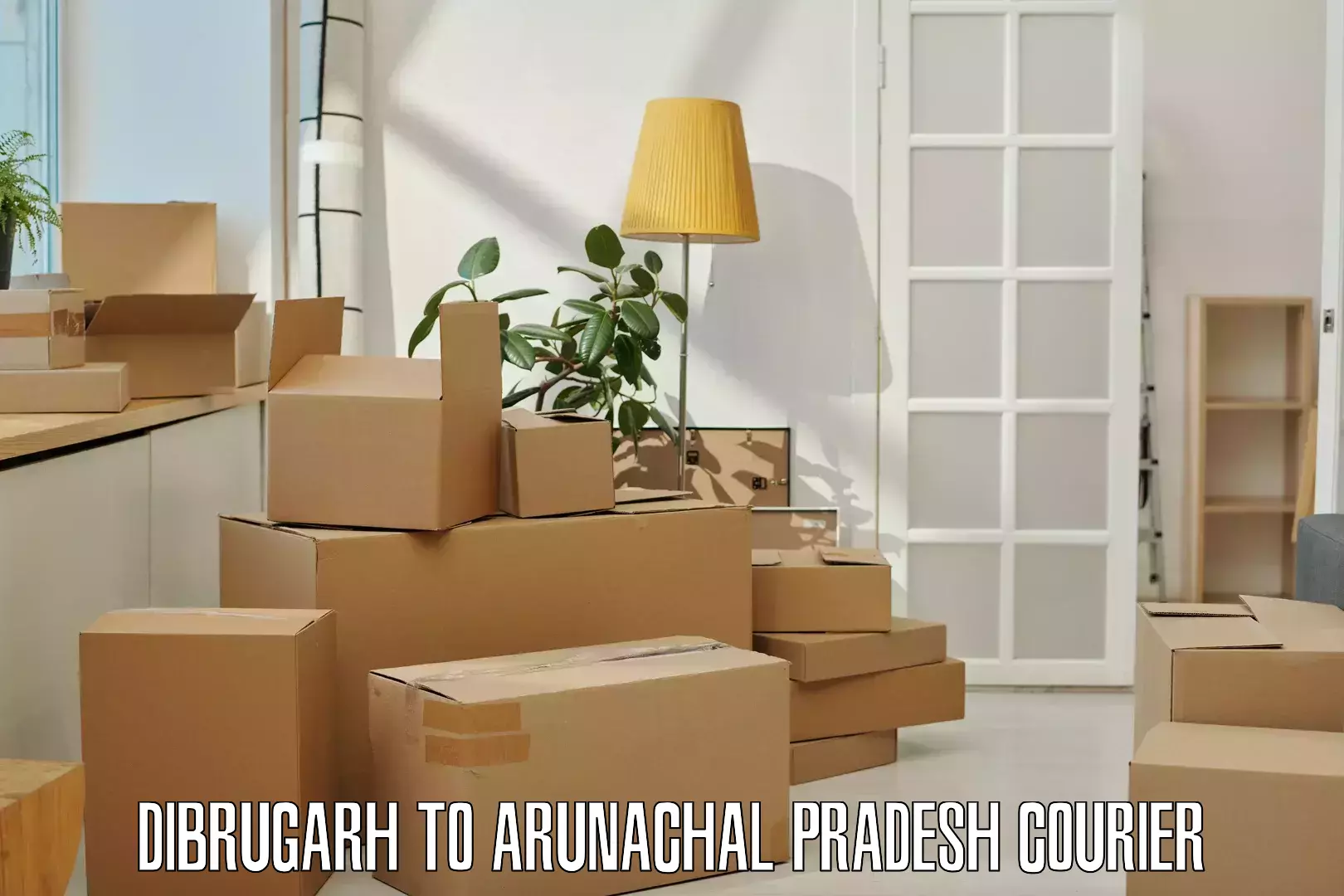 Reliable parcel services Dibrugarh to Aalo
