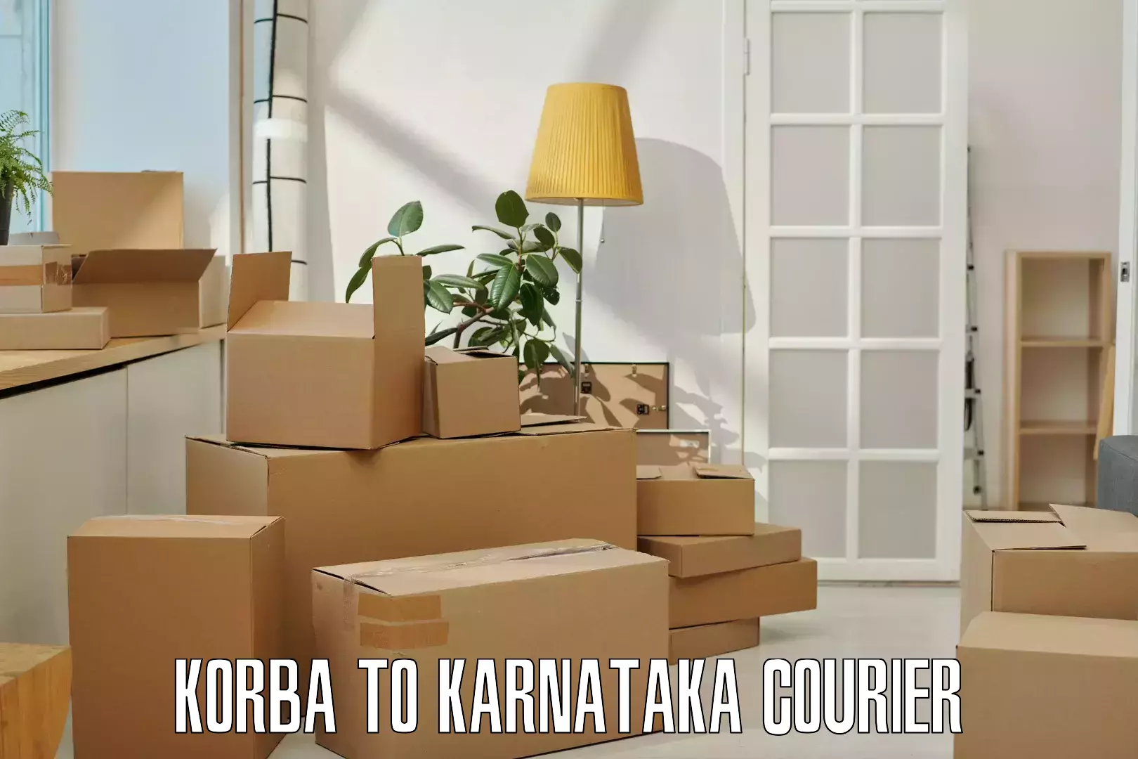 International courier networks Korba to Karnataka