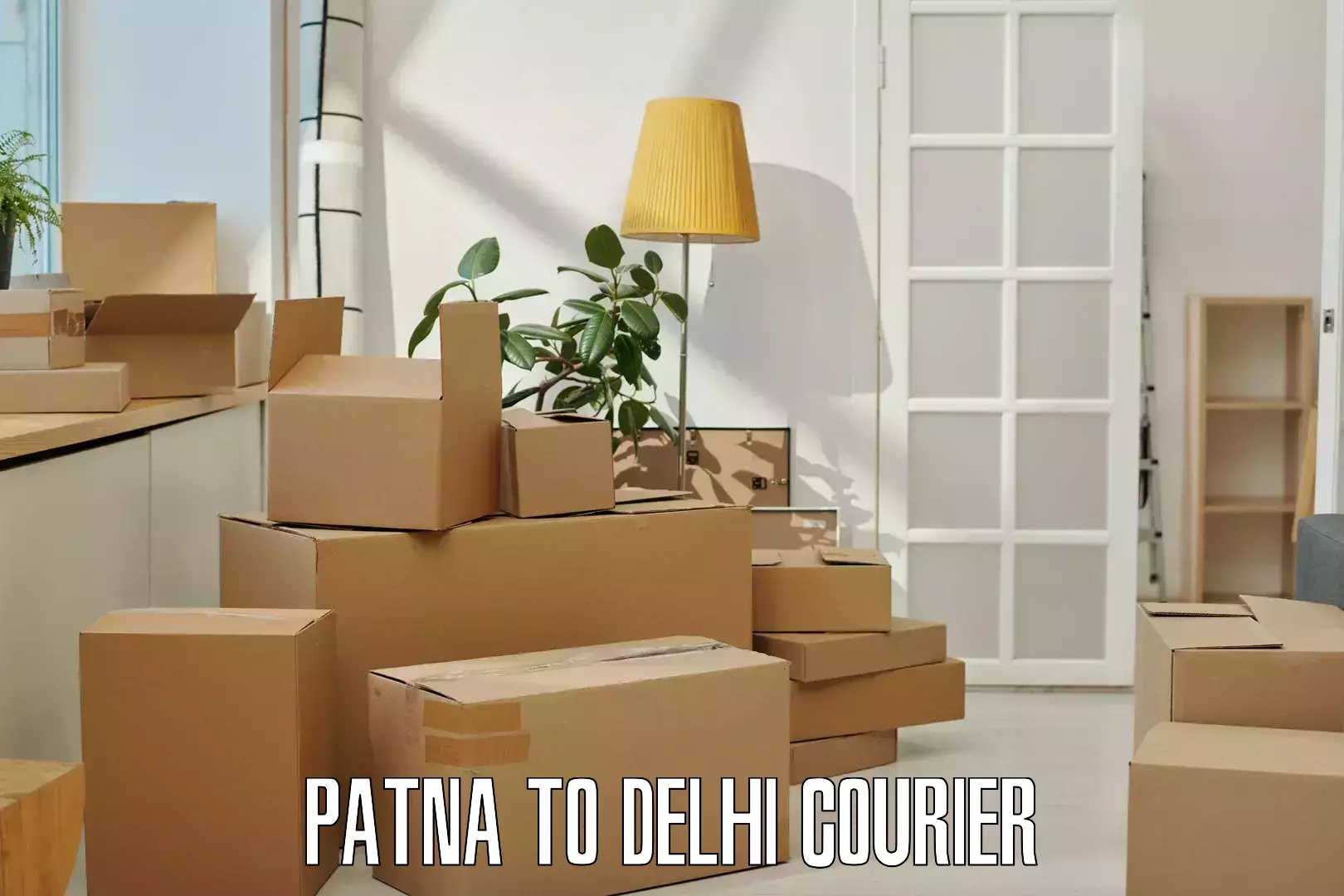 Global delivery options Patna to Sansad Marg