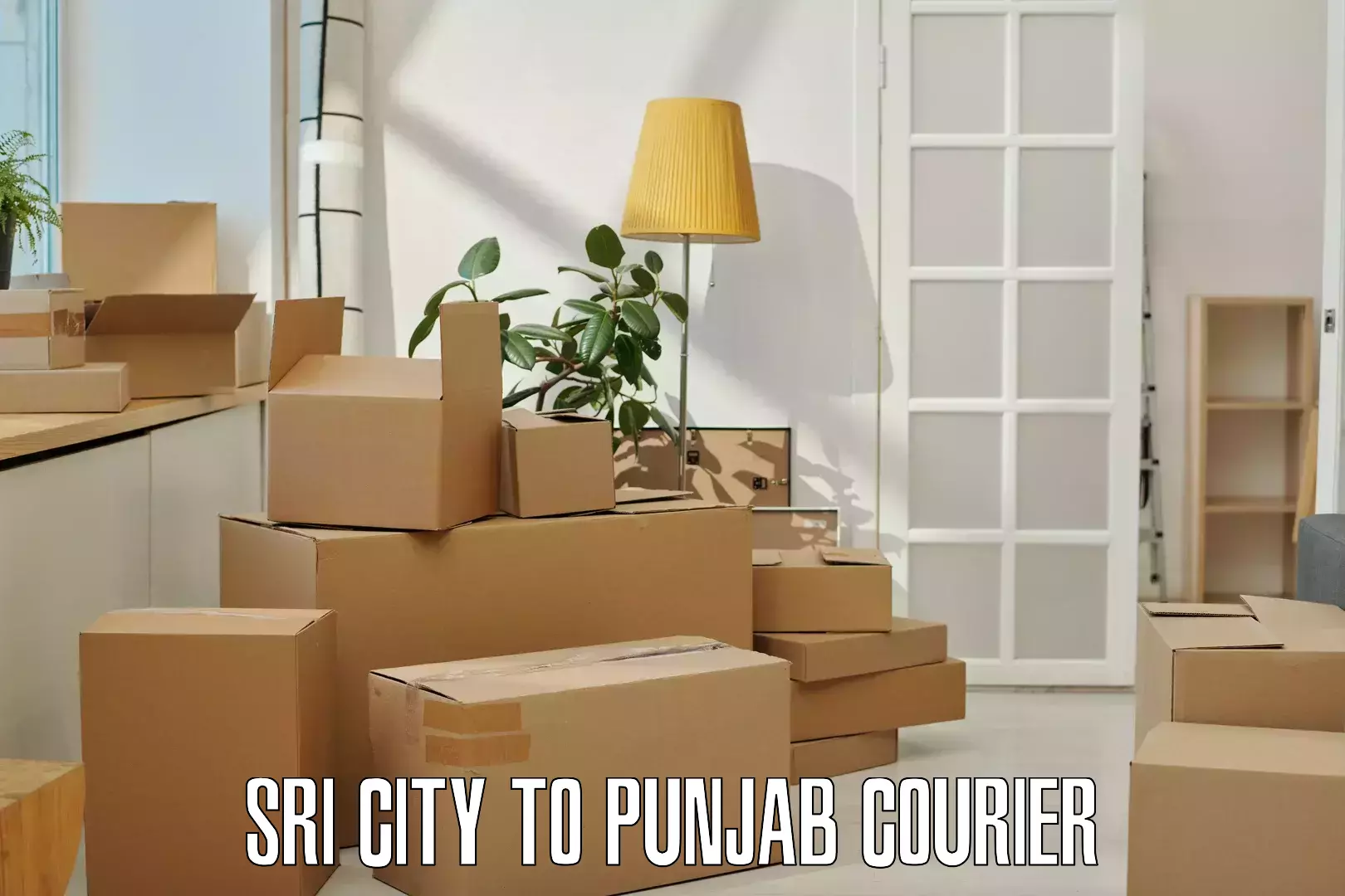 Nationwide shipping coverage in Sri City to Punjab