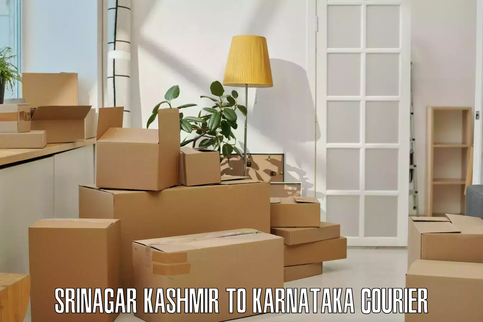 Multi-national courier services Srinagar Kashmir to Khanapur Karnataka