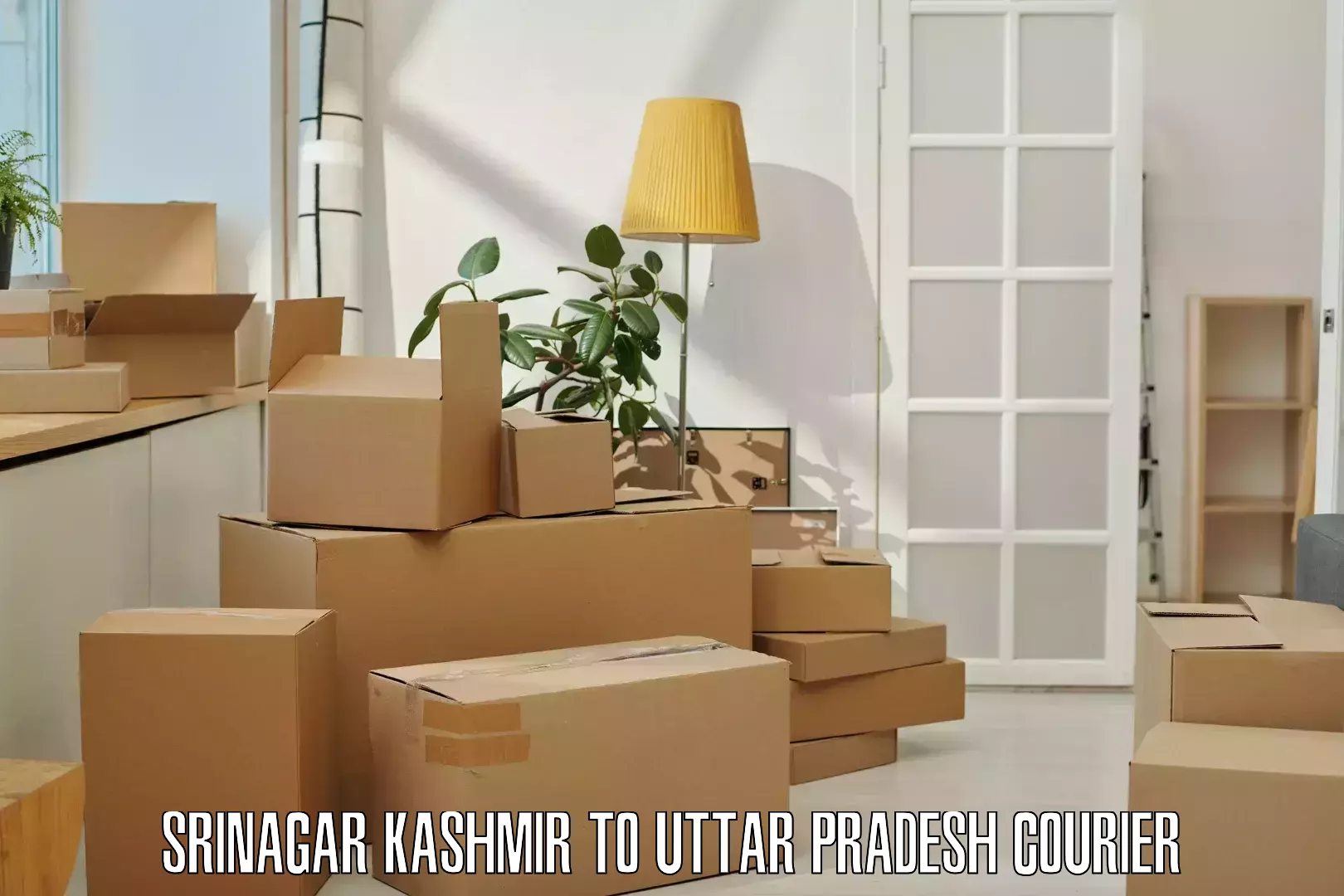 Package delivery network Srinagar Kashmir to Sikandra Rao
