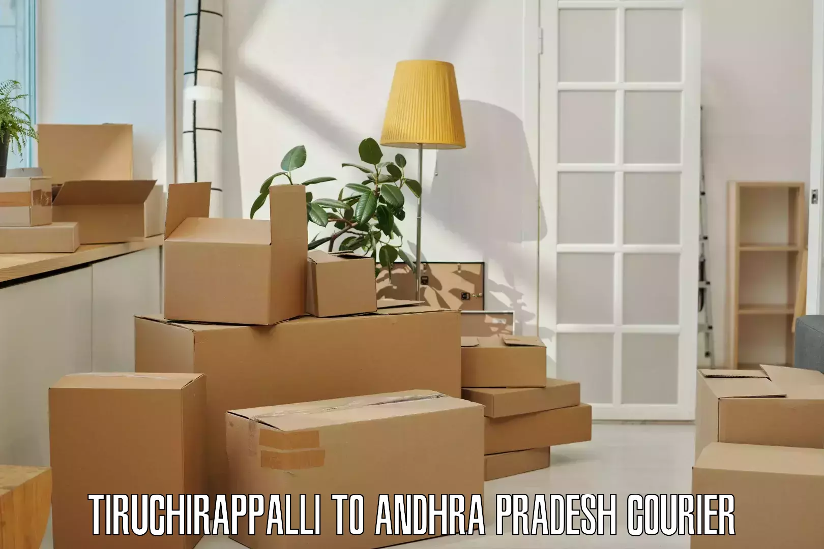 Dynamic parcel delivery Tiruchirappalli to Srisailam