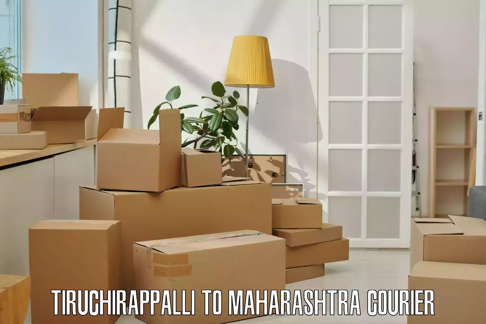 Punctual parcel services Tiruchirappalli to Greater Thane