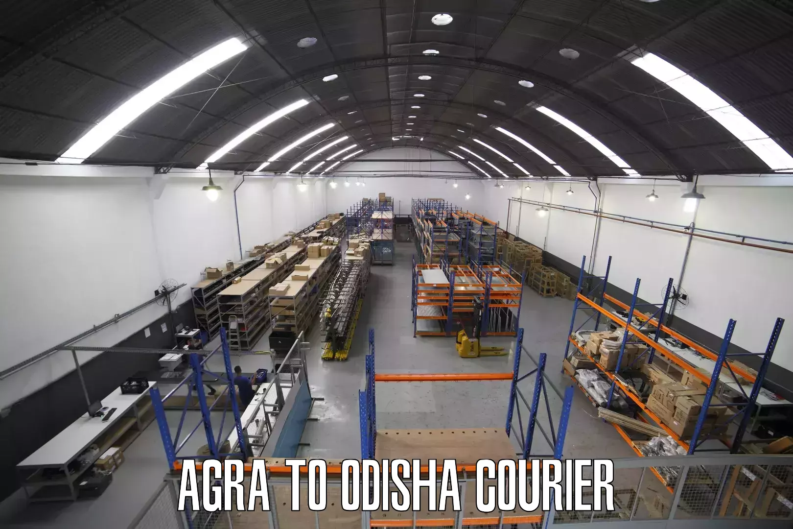 Door-to-door freight service Agra to Odisha