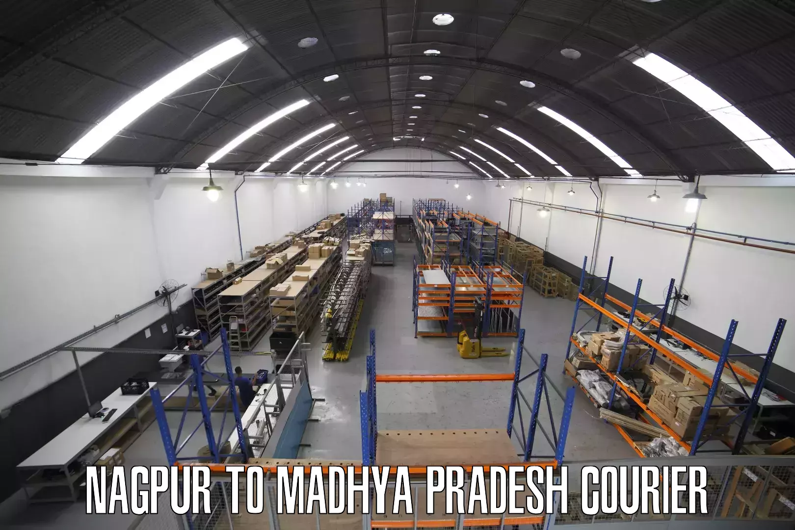 Custom courier solutions Nagpur to Madhya Pradesh