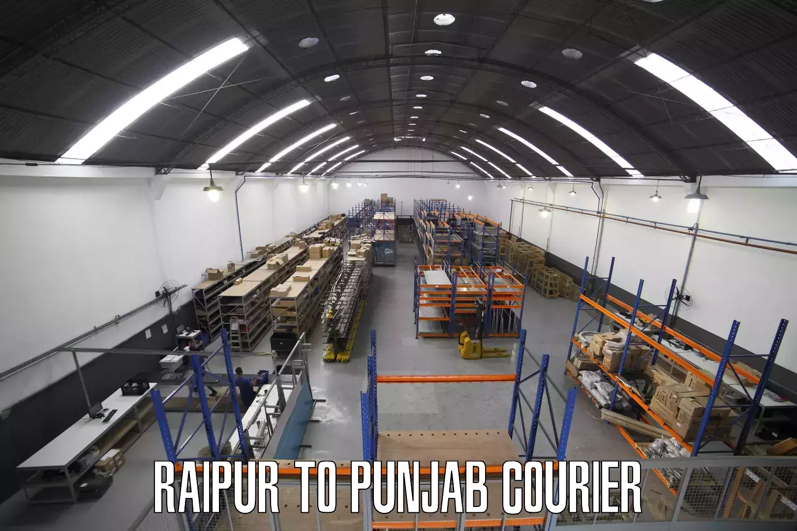 Professional parcel services Raipur to Sunam