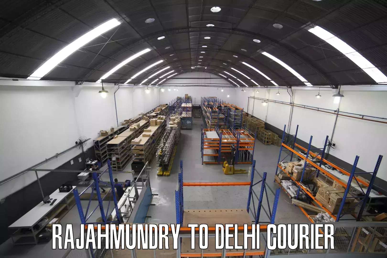 Versatile courier options Rajahmundry to Delhi