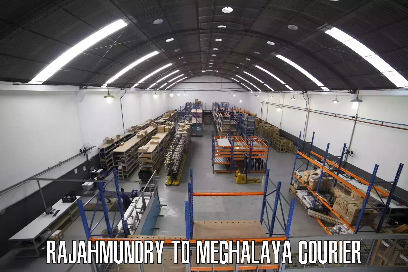 Expedited shipping methods Rajahmundry to Meghalaya