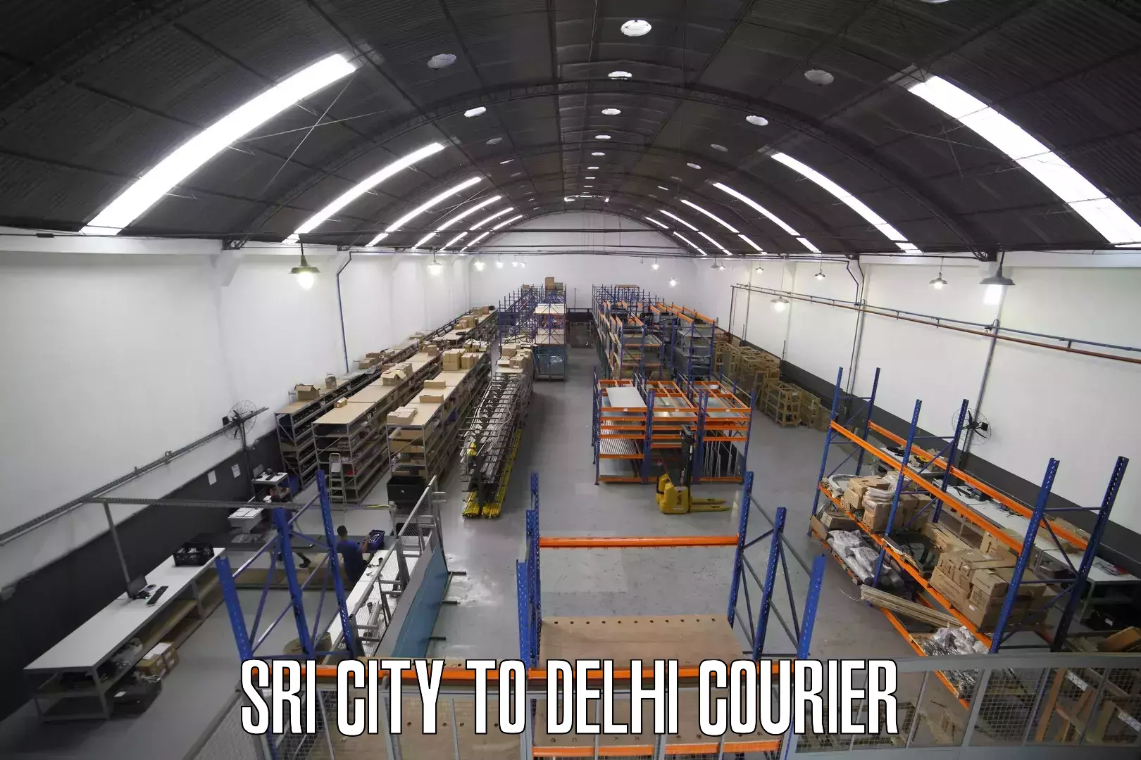 Reliable courier service Sri City to Jamia Millia Islamia New Delhi
