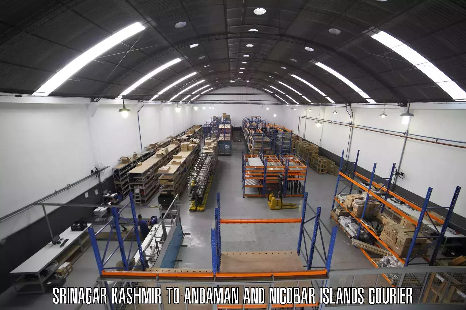 Dynamic parcel delivery in Srinagar Kashmir to North And Middle Andaman