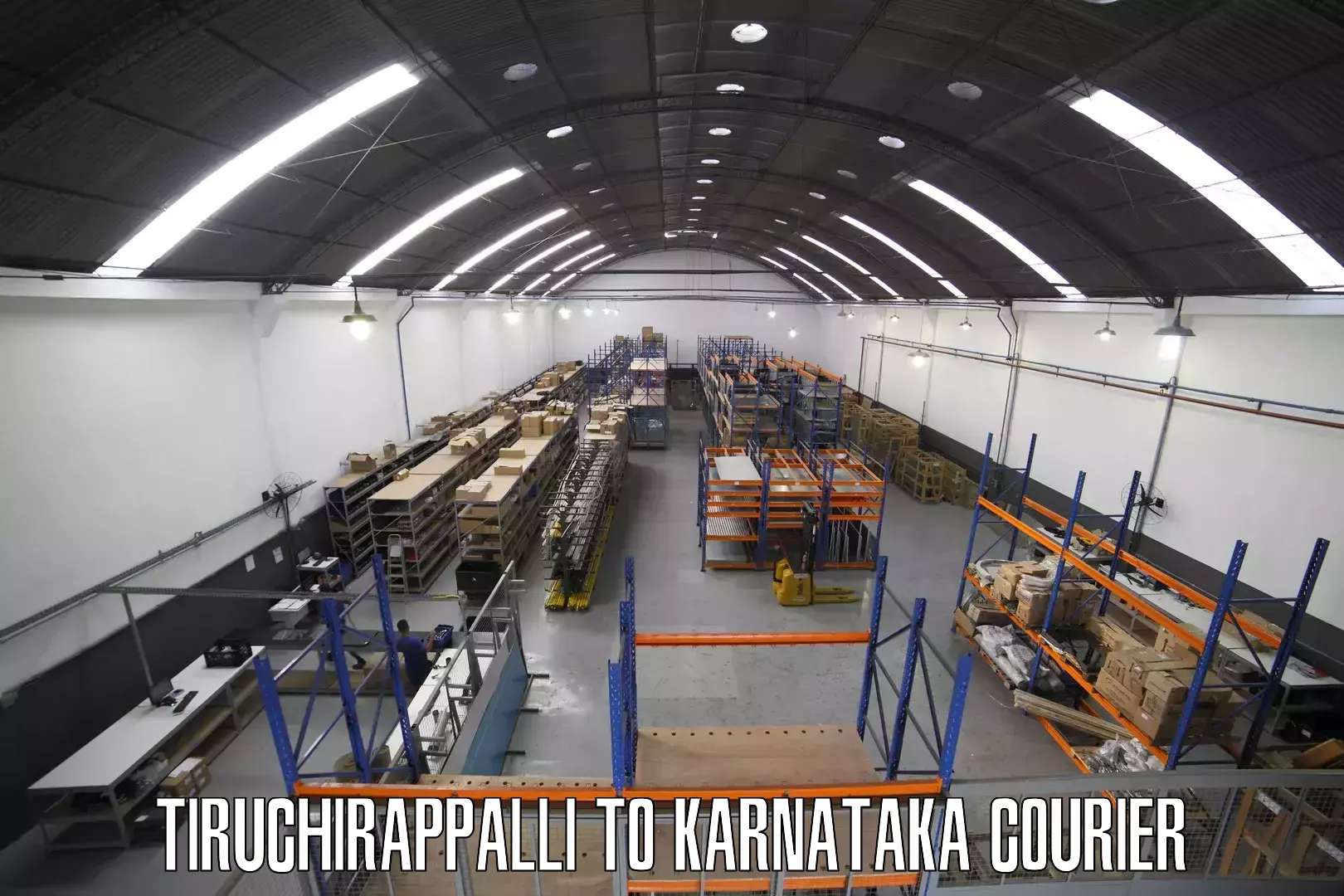 Premium courier solutions Tiruchirappalli to Basavana Bagewadi
