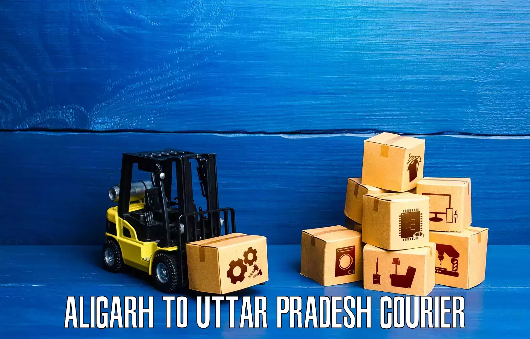 Professional parcel services Aligarh to Sohgaura