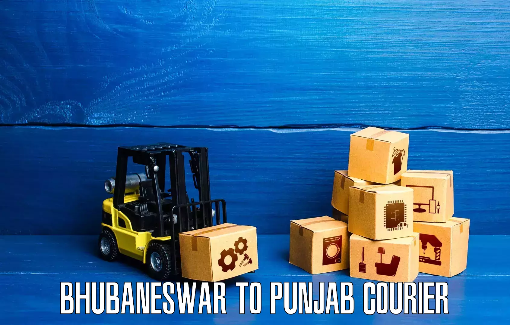 Expedited parcel delivery Bhubaneswar to Punjab
