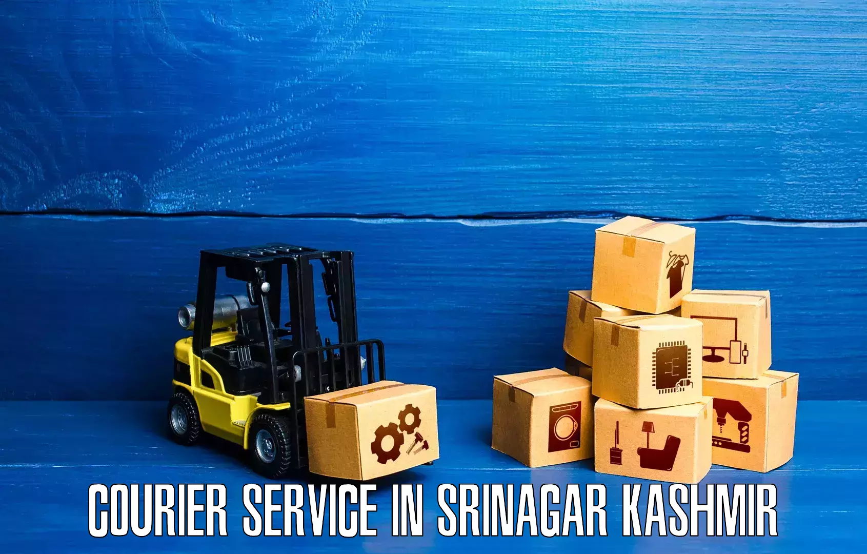 Large package courier in Srinagar Kashmir