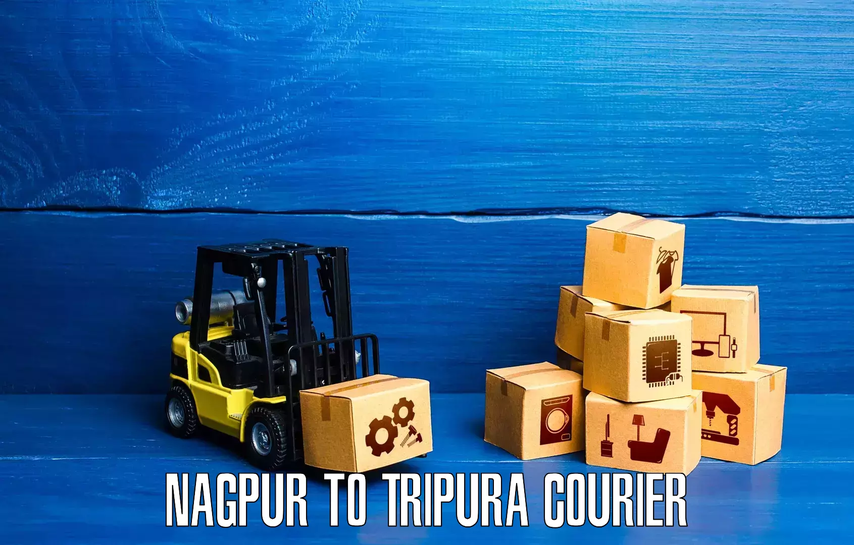 Express courier capabilities Nagpur to Tripura