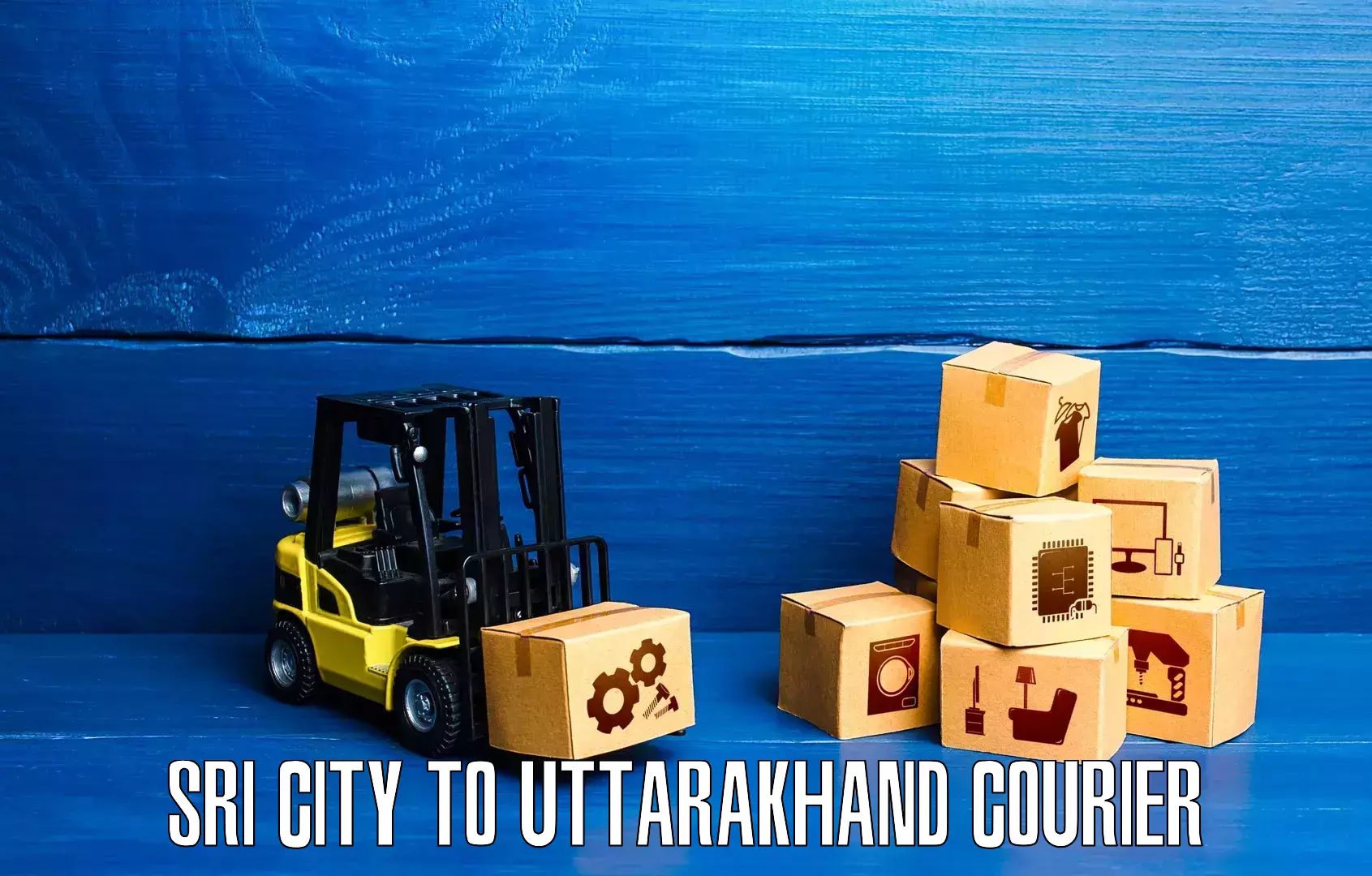 Punctual parcel services Sri City to Pithoragarh