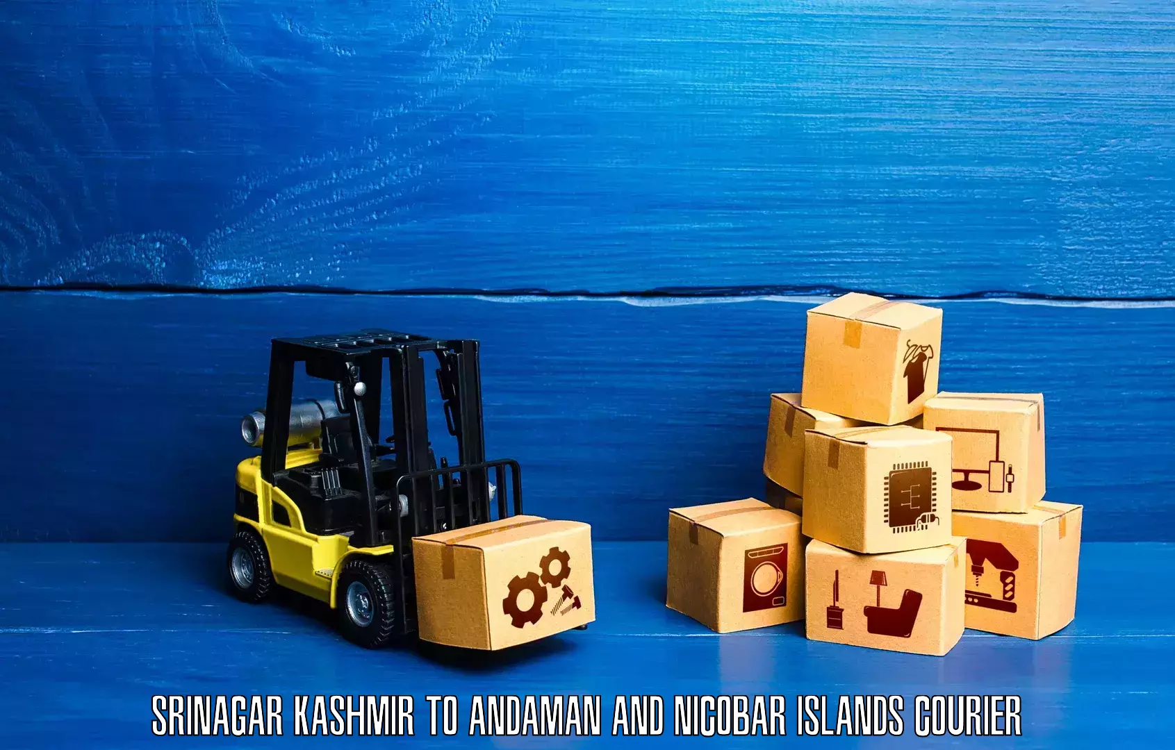 Ocean freight courier Srinagar Kashmir to Andaman and Nicobar Islands