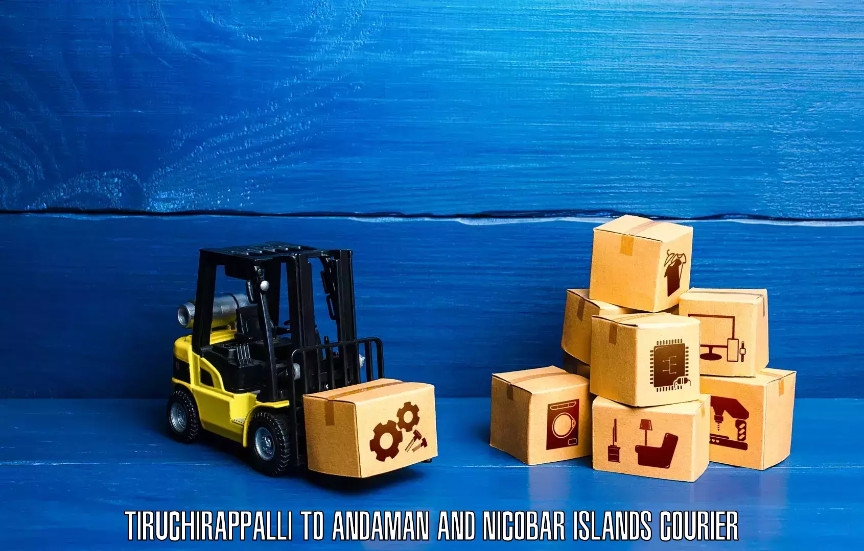 International shipping rates Tiruchirappalli to North And Middle Andaman