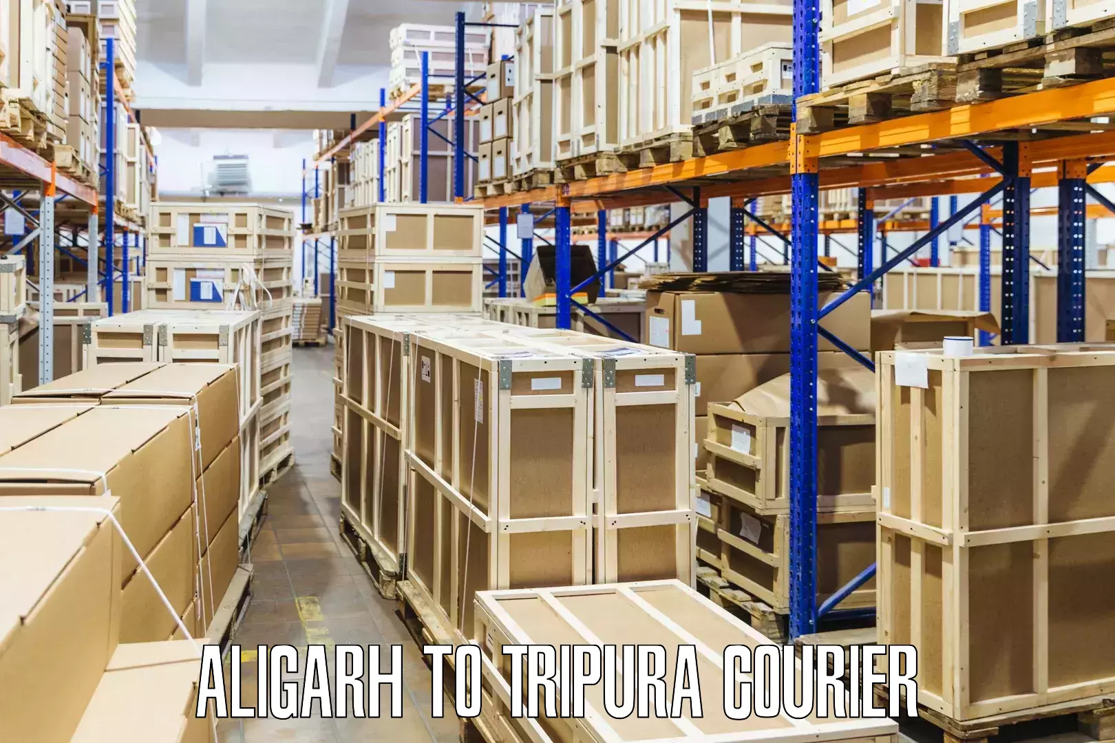 Bulk order courier in Aligarh to Bishalgarh