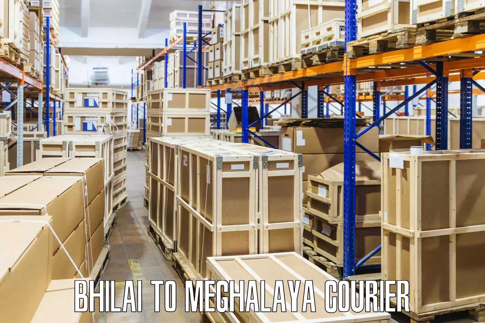 Lightweight parcel options Bhilai to Meghalaya
