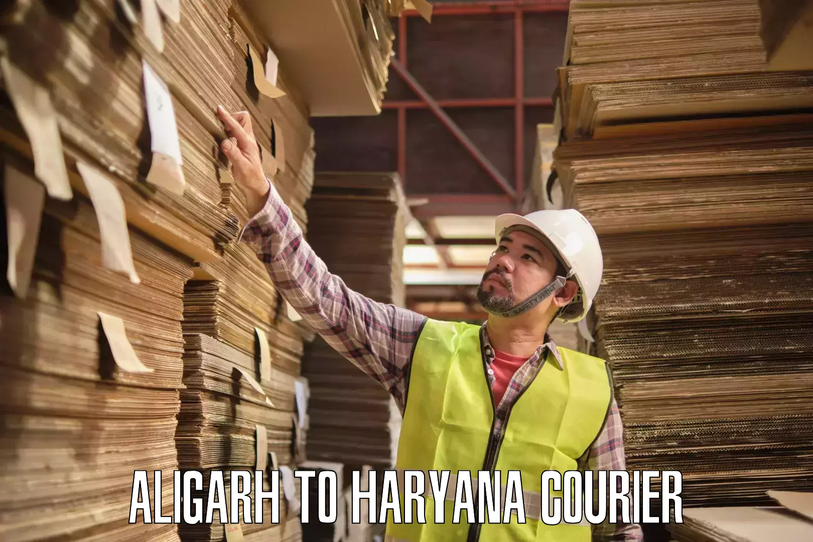 Courier service partnerships Aligarh to Haryana