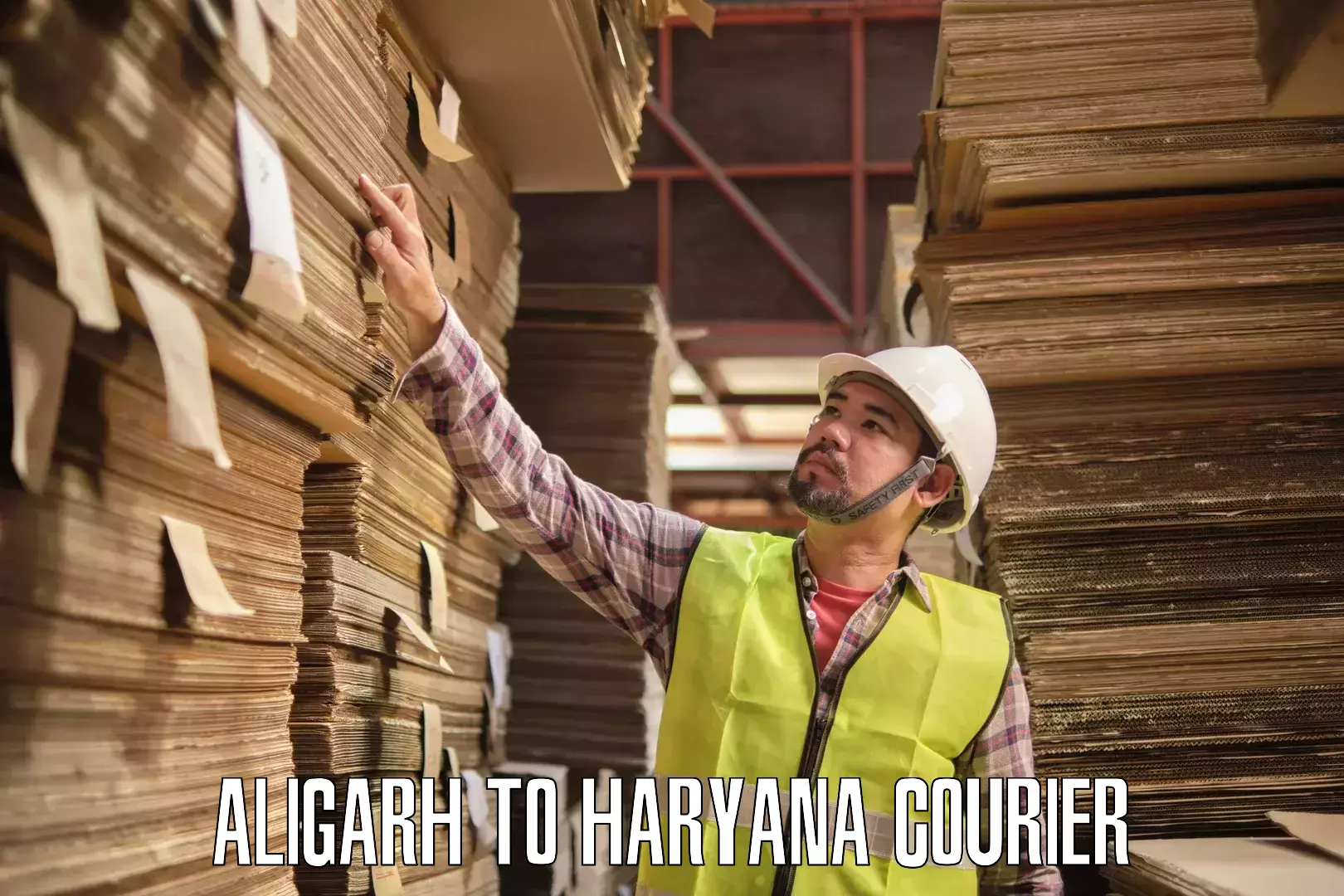 Domestic courier Aligarh to Siwani