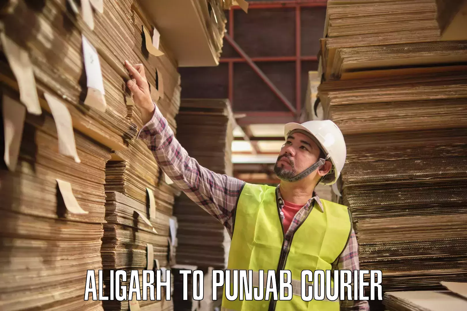 Business courier solutions Aligarh to Bathinda