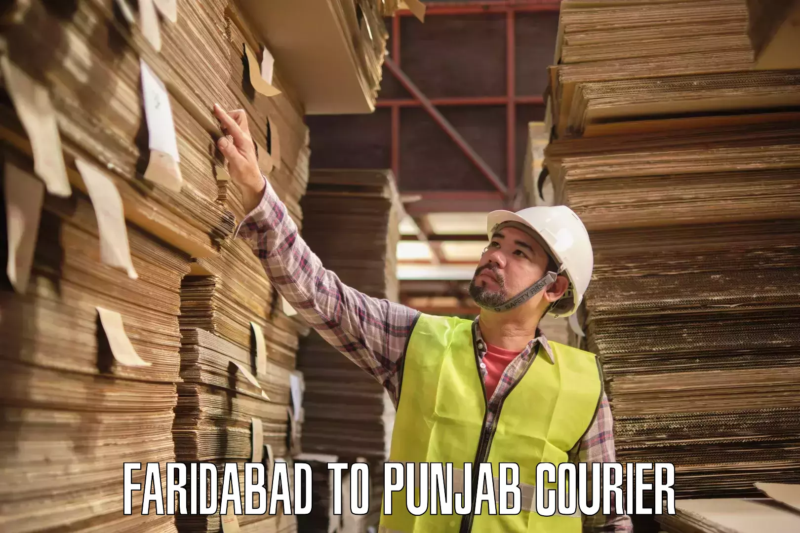 International courier rates Faridabad to Punjab Agricultural University Ludhiana