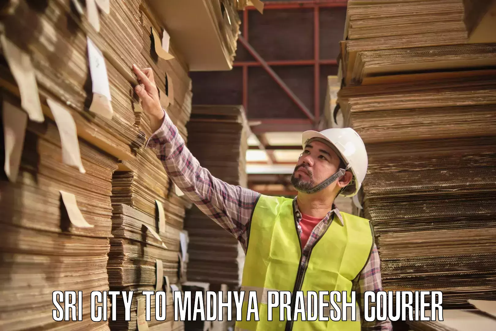 Premium courier solutions Sri City to Ganj Basoda