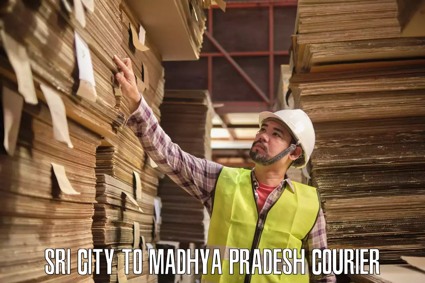 Nationwide shipping services Sri City to Jhabua