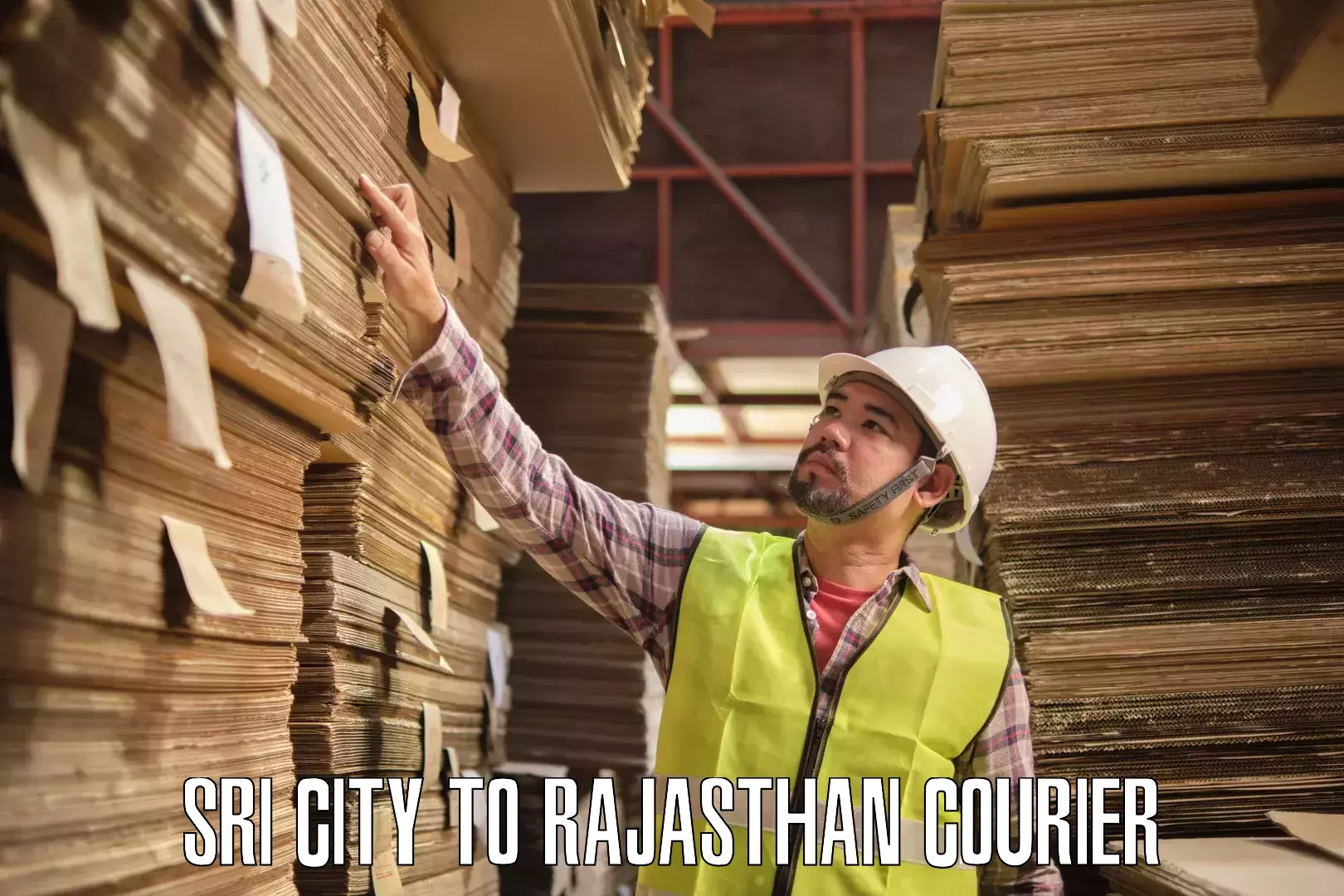 Small business couriers Sri City to Rajasthan