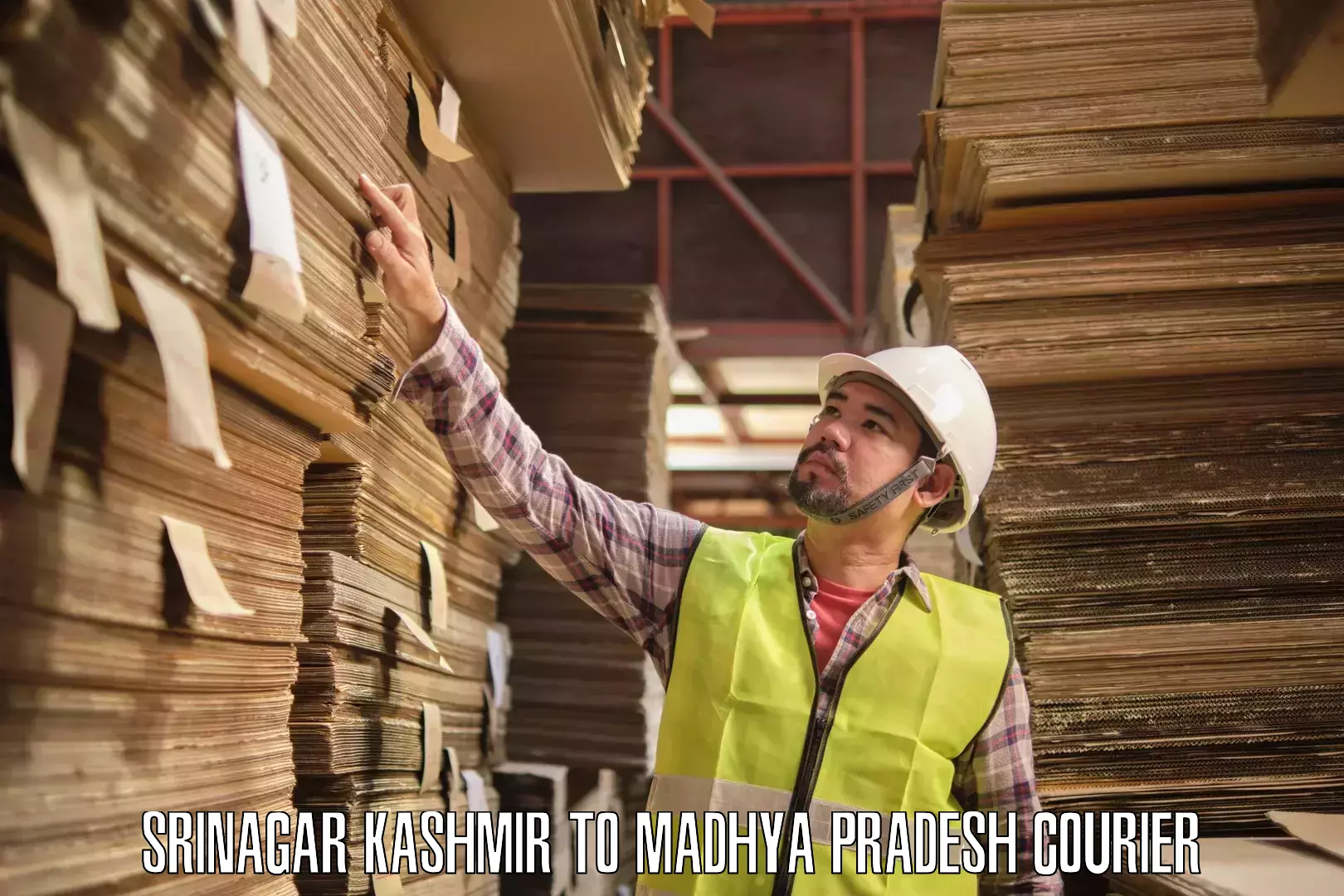 Professional courier services in Srinagar Kashmir to Agar