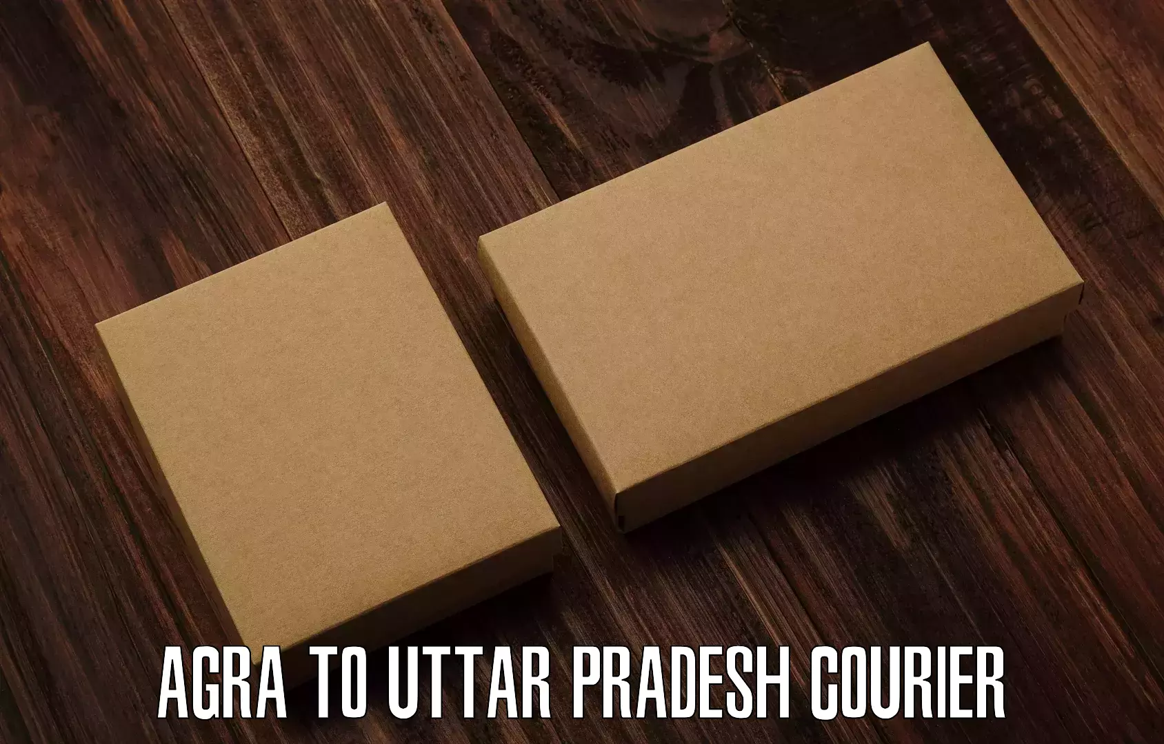 Full-service courier options Agra to Rudhauli