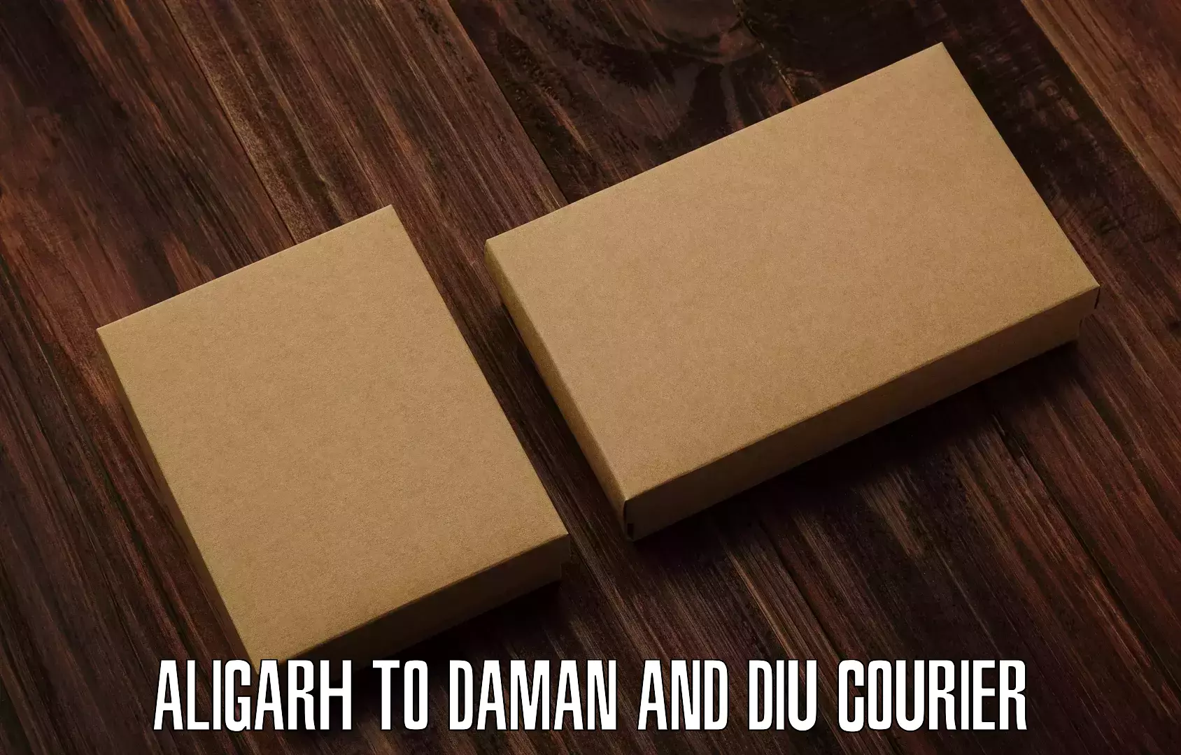 Regular parcel service Aligarh to Diu