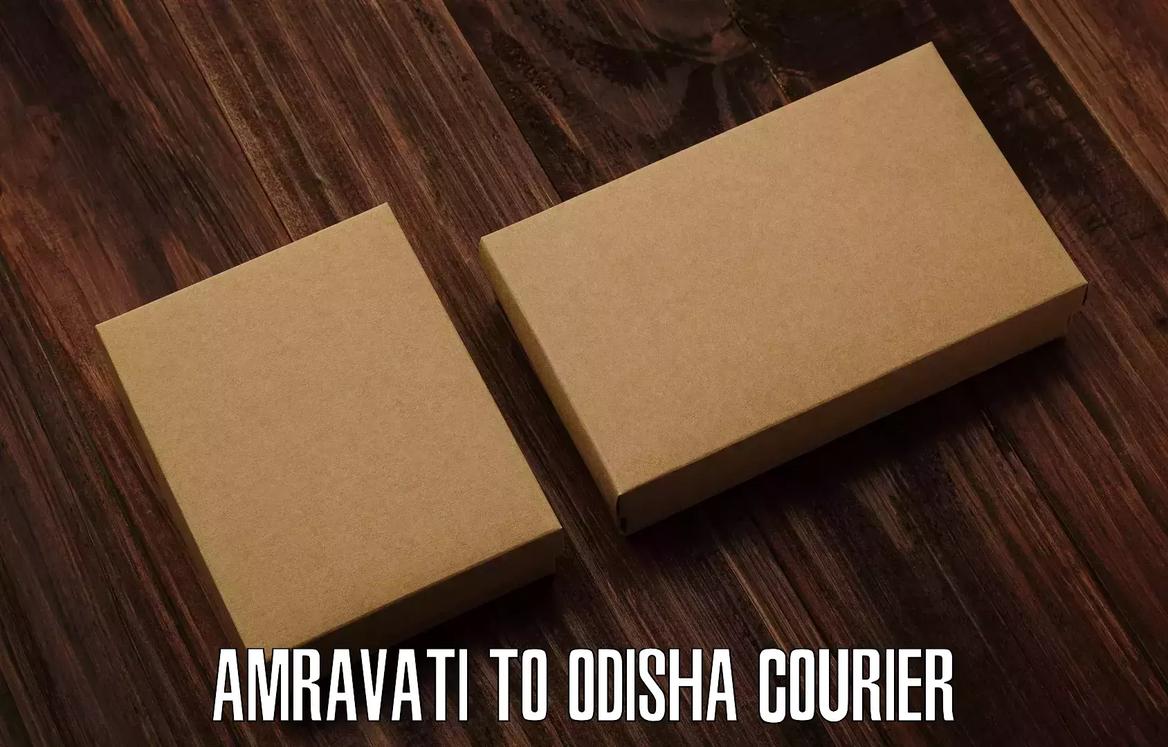 Global courier networks Amravati to Odisha