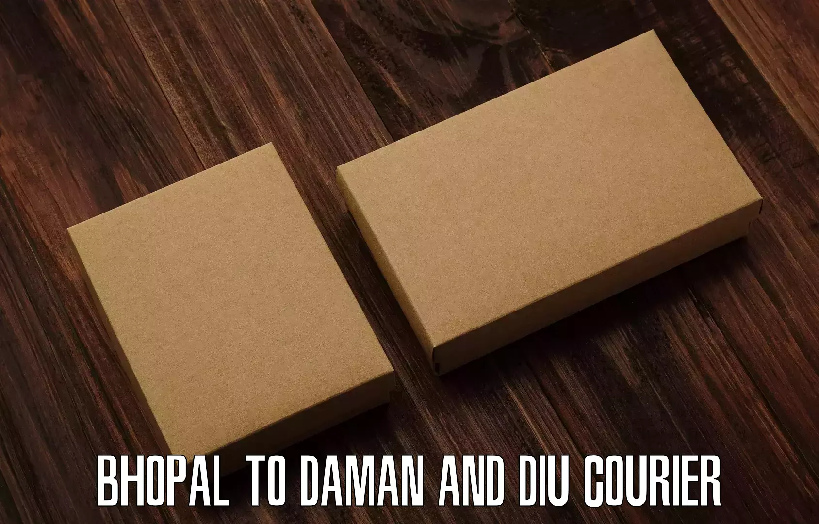 Global logistics network in Bhopal to Daman and Diu