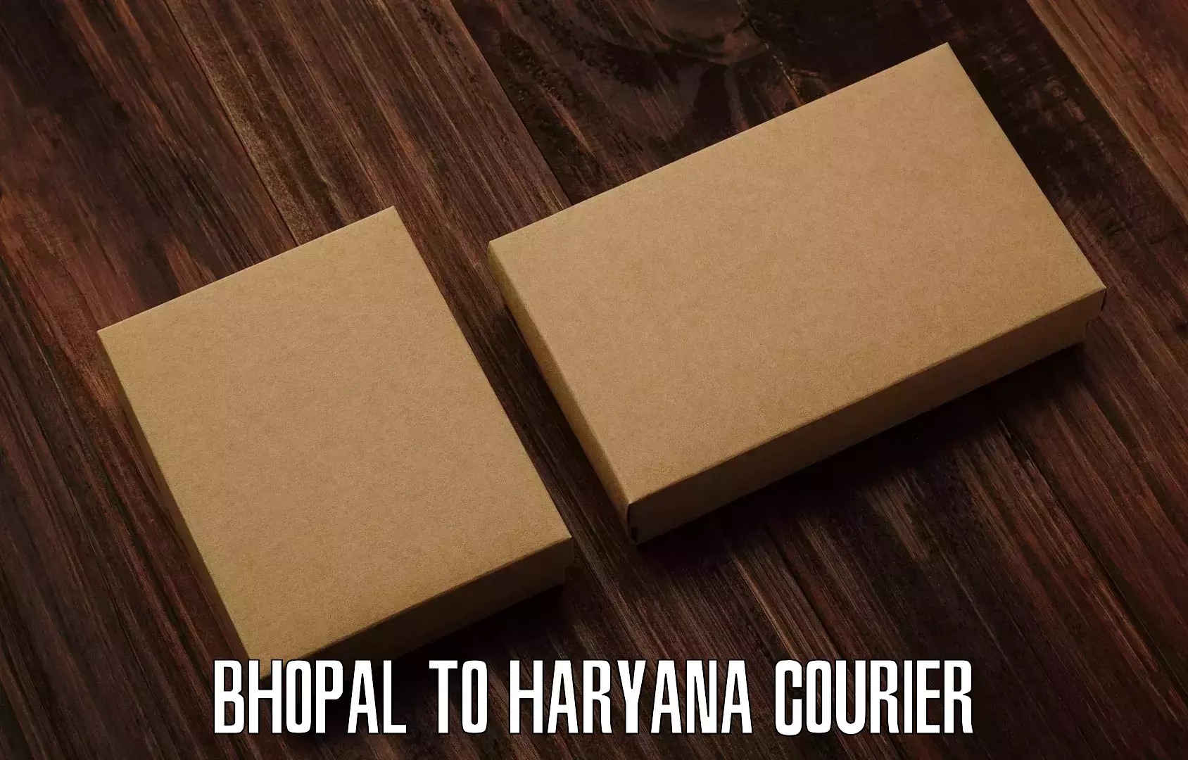 On-call courier service Bhopal to Haryana