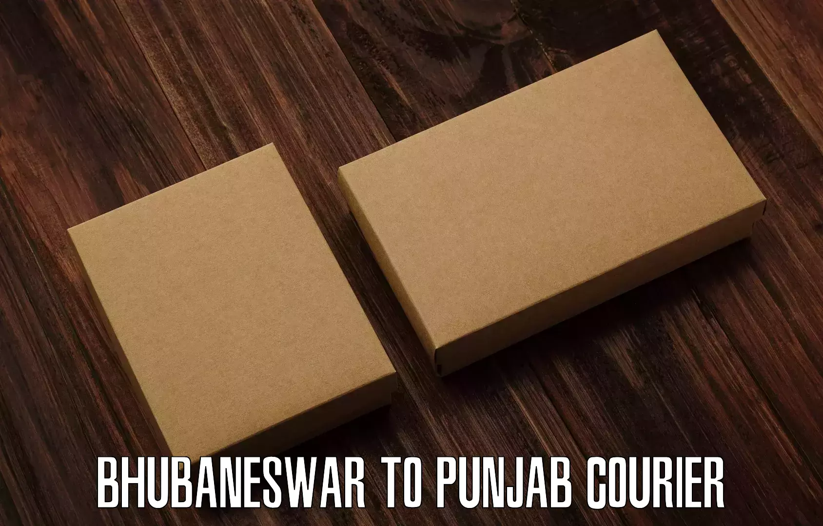 Courier service innovation Bhubaneswar to Hoshiarpur