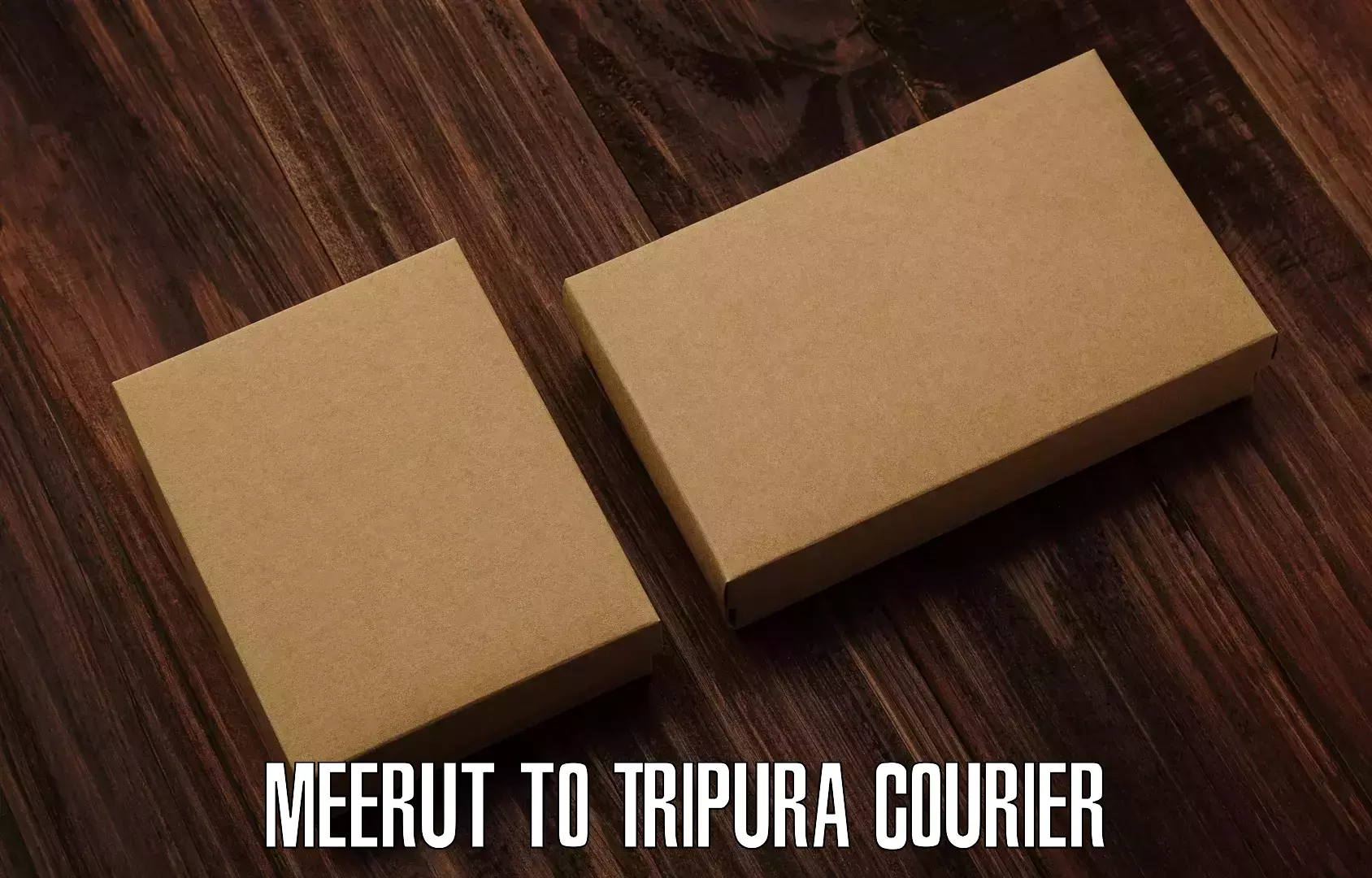 Reliable package handling Meerut to Tripura