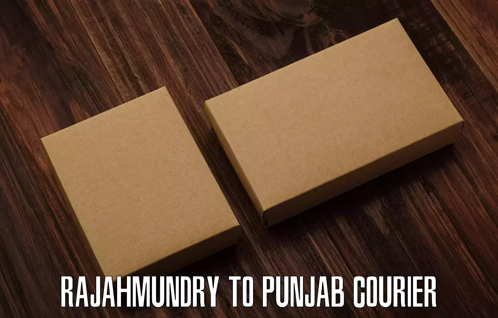 High-speed parcel service Rajahmundry to Punjab