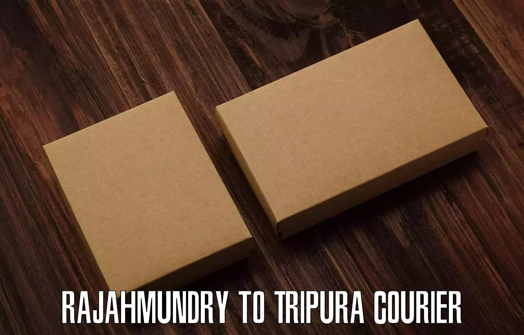 Nationwide courier service Rajahmundry to Kamalpur