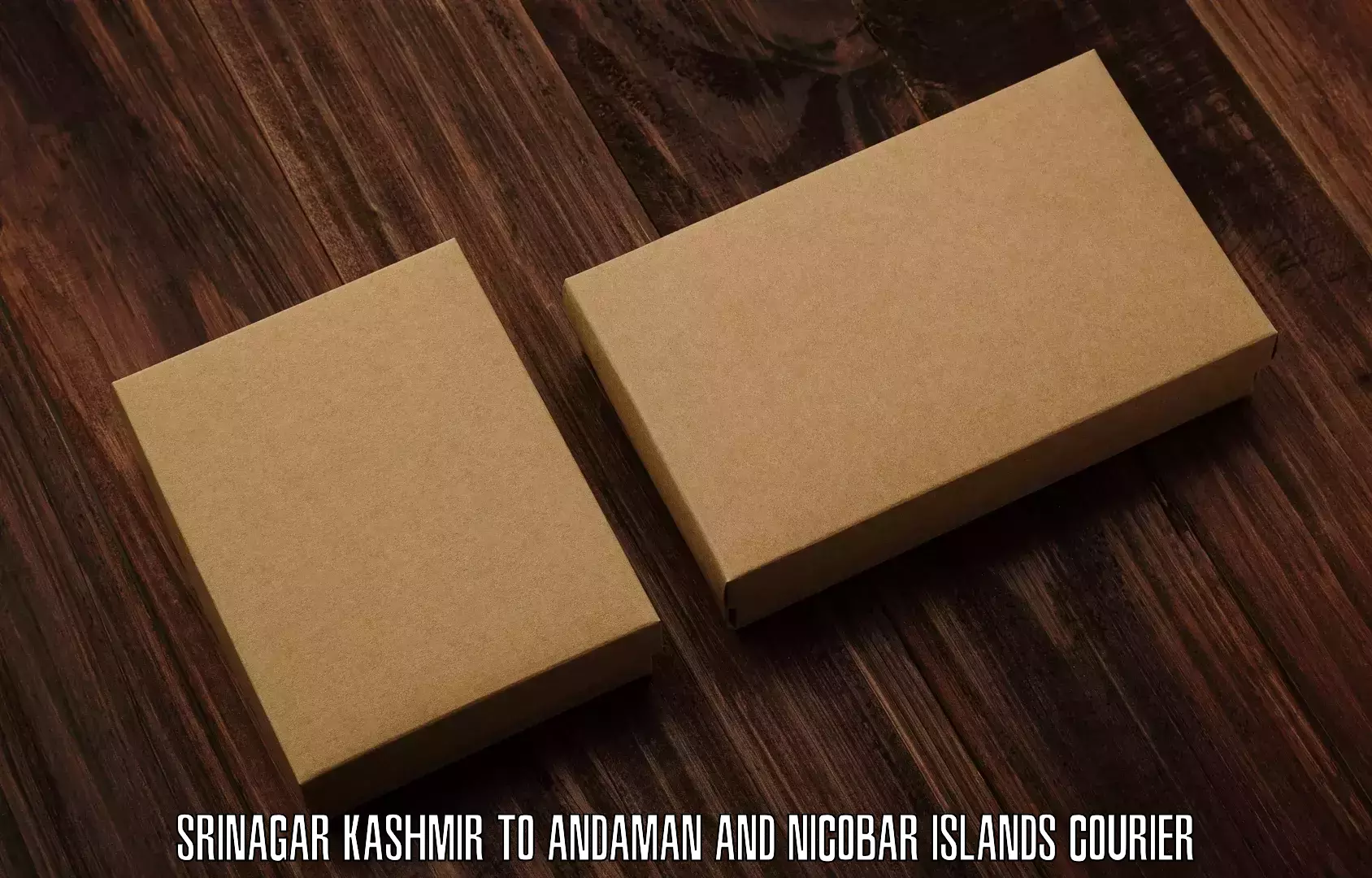 Door-to-door shipping Srinagar Kashmir to South Andaman