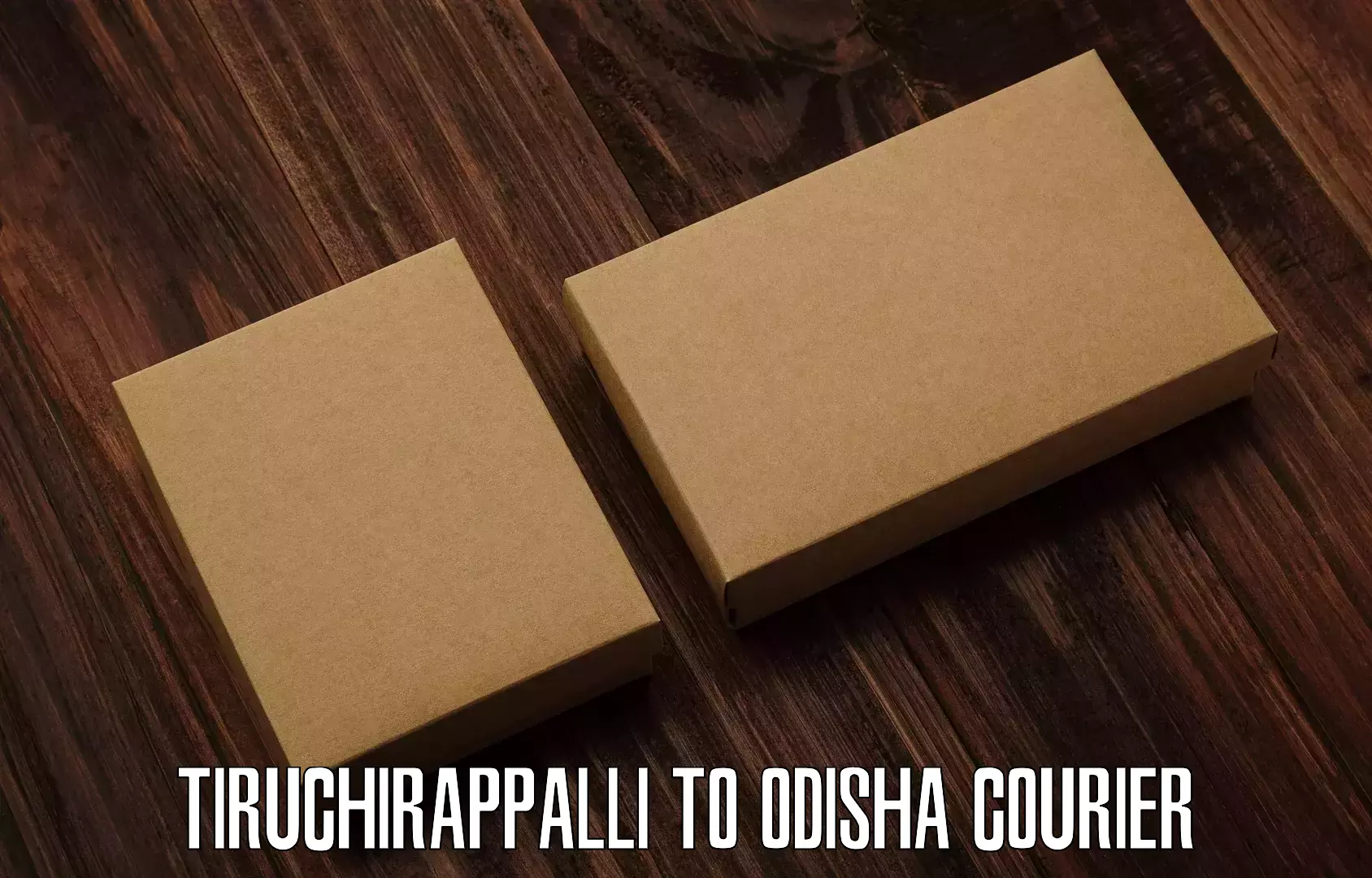 Quick courier services in Tiruchirappalli to Riamal