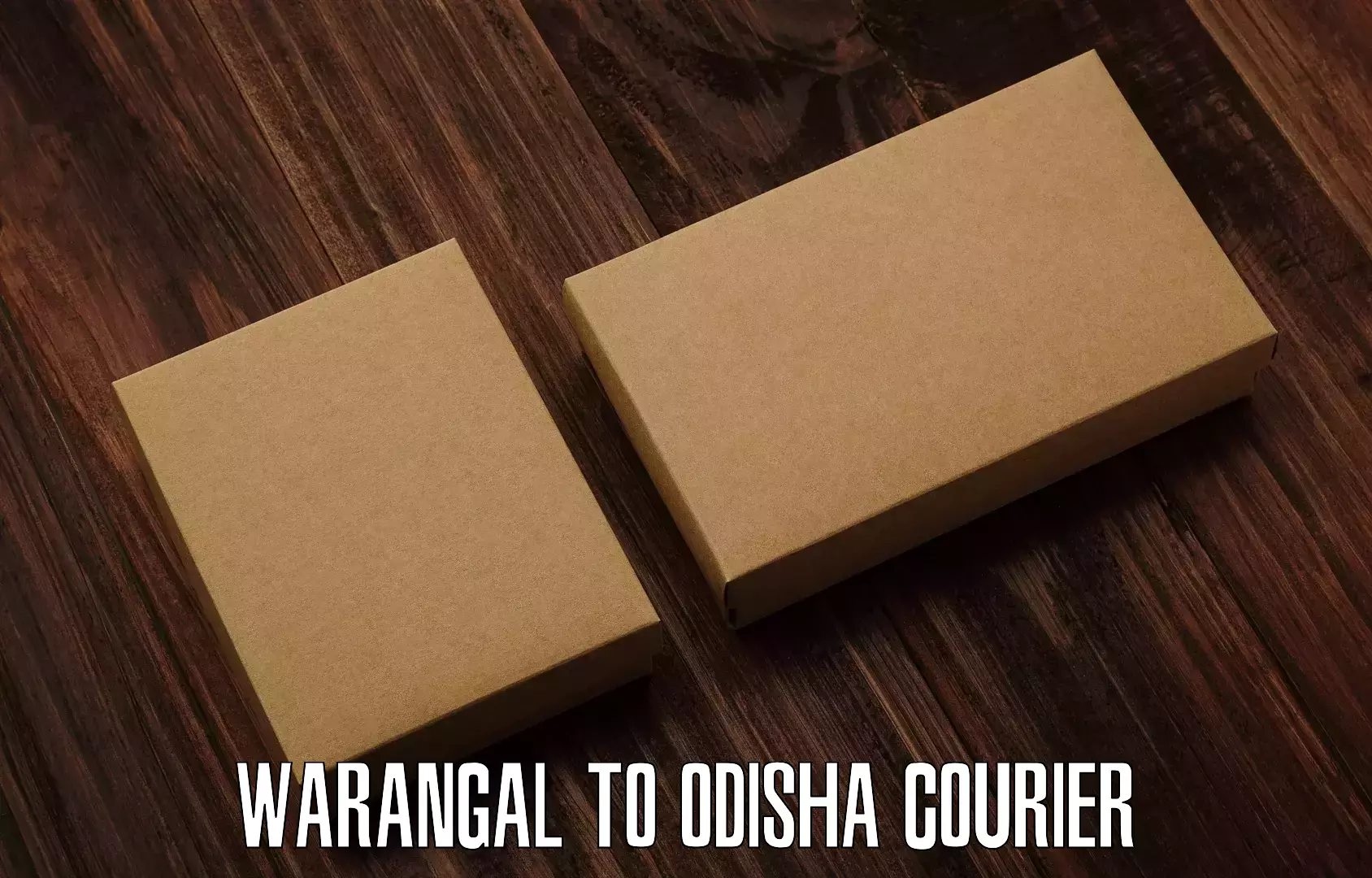 Full-service courier options Warangal to Birmaharajpur